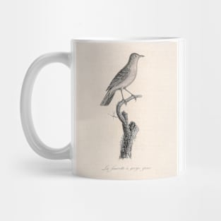 The Grey Throated Warbler Mug